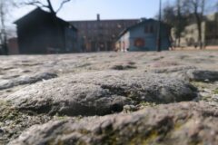 SCPW Centrum, Agnieszka Onoszko, Dariusz Domagała, 15 lat, Bruk